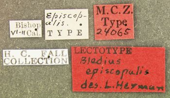 Media type: image;   Entomology 24065 Aspect: labels